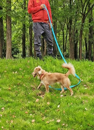 Traffic Handle Dog Leash 10FT Reflective Lead Large Medium Dog - Image 4