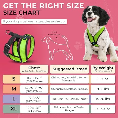Gooby Comfort X Head-in Dog Harness, Choke-Free, Green, Large - Image 5