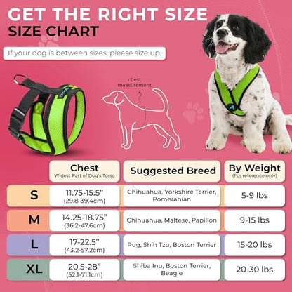 Gooby Comfort X Head-in Dog Harness, Choke-Free, Green, X-Large - Image 5