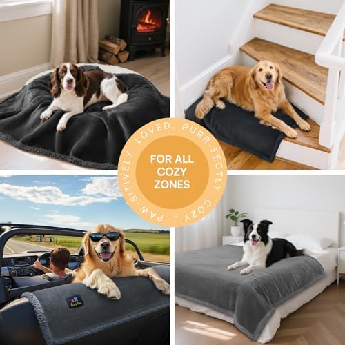 Luciphia Waterproof Bed Blanket Washable,Soft Sherpa Fleece Puppy Reversible Throw Blankets for Small Medium Dog Cat,Furniture Cover Protector Couch Bed from Liquid Pee and Pet Fur, Black,57" x 40" - Image 6