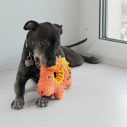 KONG Ringaroos - Interactive Rope Ring Dog Toy with Plush Squeaker - for Fetch, Tug & Cuddle - for Medium Sized Dogs (Orange Pig)