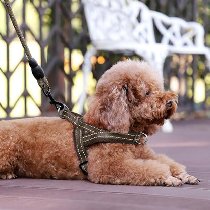 Plutus Pet No Pull Dog Harness for Puppy Small Dogs, Breathable Mesh Padded - Image 6
