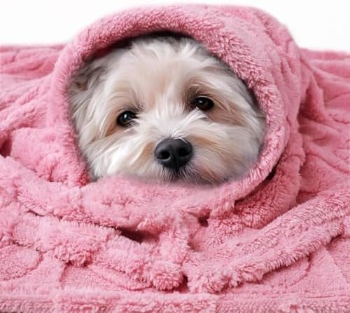 Luciphia 2 Pack Small Dog Blanket, Cozy Fleece Throw for Puppy Cat,57"x40" - Image 3
