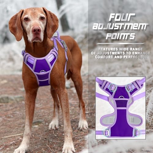 BARKBAY Dog Harness No Pull for Medium Sized Dog Front Back Clips,Dog Vest - Image 6