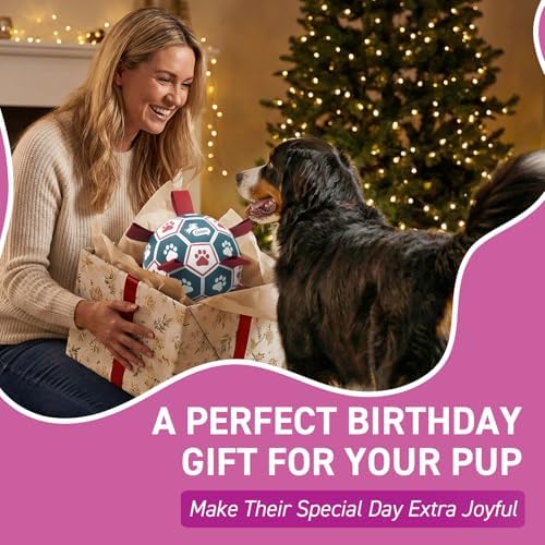 QDAN Large Outdoor Dog Toy, Soccer Ball with Straps, Durable Giant Dog Ball - Image 6