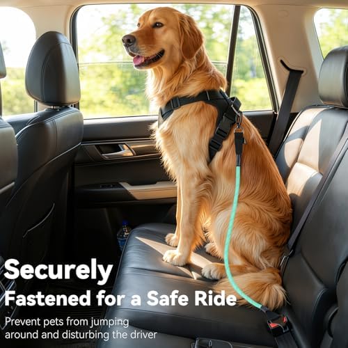 Universal Dog Seat Belt for Car, Dog Car Seatbelt, Cyan - Image 6