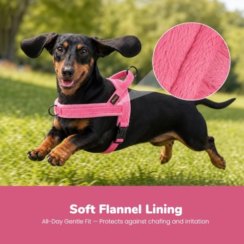 Didog No Pull Dog Harness for Small Dogs, Soft Flannel Padded, Pink, XS - Image 2