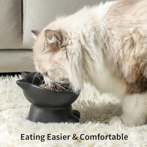 Nihow Elevated Cat Bowls,5 Inch Ceramic Raised Cat Food and Water Bowl Set - Image 4
