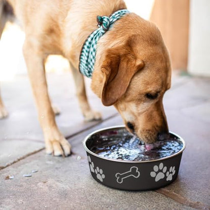 Loving Pets Bella Dog Bowls- Stainless Steel Dog & Cat Bowls - Spill Proof Dog Food Bowl, Cat Bowl, Puppy Essentials & Pet Supplies Great for Home & Travel (X-Large 65-100lbs, Espresso) - Image 7