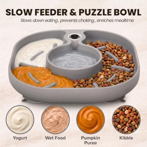 2-in1 Slow Feeder & Gravity Water Bowl, Fits Standard Plastic Water Bottles - Image 3