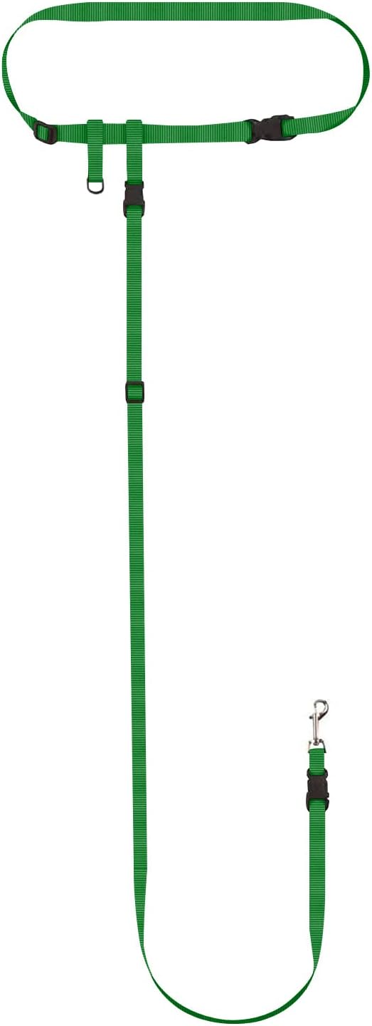 The Buddy System Hands Free Dog Leash, Adjustable Leash for Running, Jogging, Training and Service Dogs, Great for Small, Medium and Large Dogs, Made in USA (Green, Small Dog System (Large Belt))