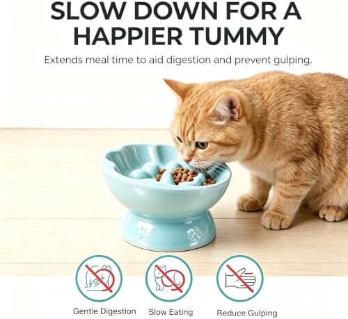 Ceramic Slow Feeder Cat Bowl, Elevated Tilted Design, Blue - Image 3
