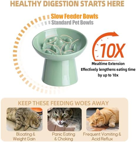 Ceramic Elevated Slow Feeder Cat Bowl - 6" Raised Cat Food Bowl for Bloat Relief & Anti-Vomiting, Whisker Friendly Ceramic Cat Slow Feeder for Indoor Cats, Kittens, Puppies - Green(1pc) - Image 3