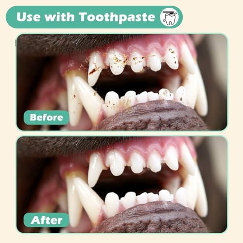 3pcs Dog Finger Toothbrush, Cat Chin Brush with Food-Grade Silicone, Dog Tooth Brushing Kit, Silicone Cleaning Brush for Pet Dental Care - Image 5