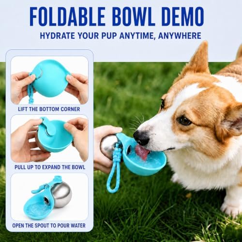 Portable Dog Water Bottle with Bowl, 10oz Leak-Proof Stainless Steel - Image 2