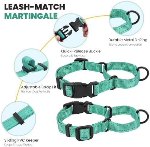 VIVAGLORY Double Handle Dog Leash Twingrip, 5ft x 1in, M, Turquoise - Image 4