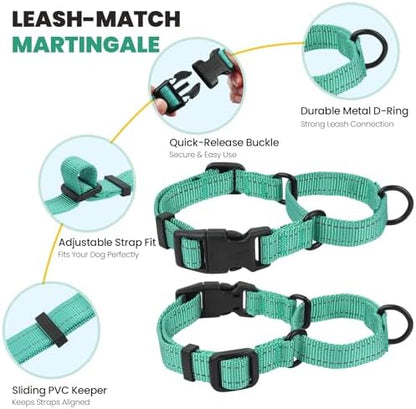 VIVAGLORY Double Handle Dog Leash Twingrip, 5ft x 1in, M, Turquoise - Image 4