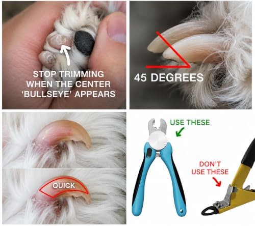 Dematting comb for dogs, Shedding, undercoat Rake, Dog Brush, Cat brush, for shedding, Deshedding brush for dogs, Cat brushes, for Shaggy or Low hair Dogs & cats Double sided - Image 4