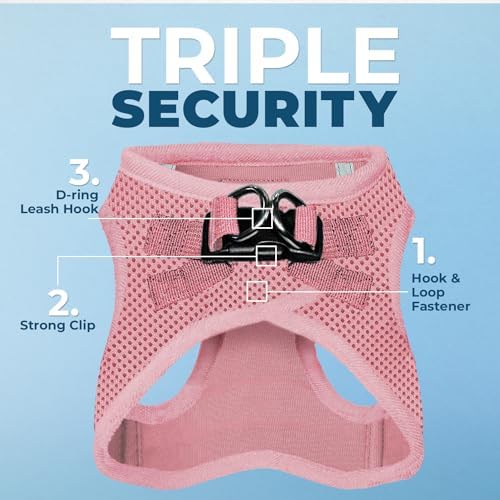 Best Pet Supplies Voyager Step-in Air All Weather Mesh Harness and Reflective Dog 5ft Leash Combo with Neoprene Handle, for Small, Medium and Large Breed Puppies - Pink, X-Small - Image 2