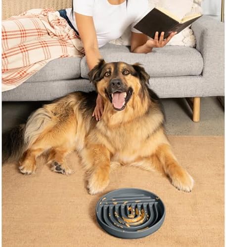 Slow Feeder Dog Bowl - Silicone Dog Bowl, Large, 9.5" x 1.5" - Charcoal - Image 6