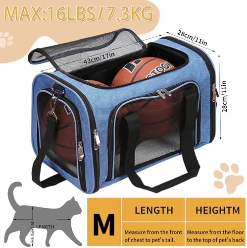 Soft-Sided Cat/Dog/Pet Carrier, Collapsible Pets Travel Carriers - Image 3