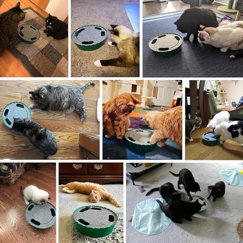 Pawaboo Interactive Cat Toy with Running Mouse, Automatic Track Kitten Toy - Image 2