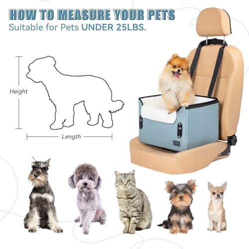 PETSFIT Dog Car Seats for Small Dogs – Patented Safety Buckles – Safety Tether – Foldable Travel Dog Booster Car Seat Reduces Anxiety & Road Trips – Stable Frame, Fits Front/Back Seat (Mint Green) - Image 6