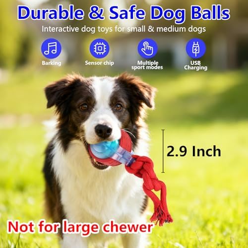 Oxawo Interactive Dog Toys Pet Busy Balls Moving Wiggles Ball - Image 6