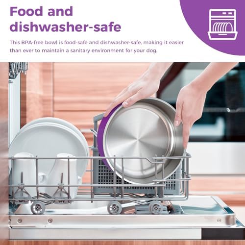 WENBOKMIN Dog Bowl, Stainless Steel Food and Water Bowl, 40oz, Purple | Non Slip Quiet Bottom, Easy to Clean, Dishwasher Safe - Image 3