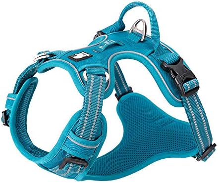TRUE LOVE Dog Harness No Pull Nylon Reflective Pet Harness Adjustable Comfortable Control Step-in Brilliant Colors Truelove TLH56512 XS Blue by TRUELOVE