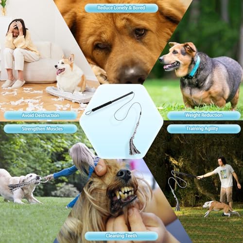 Flirt Pole for Small Medium Dogs,Interactive Chase and Tug of War Outdoor Dog Toys,Heavy Duty Dog Teaser Wand Chase Toys with Rope,Durable Flirt Stick Pole for Dogs Outside Agility Exercise & Training - Image 7