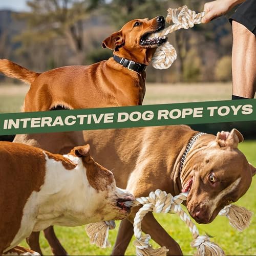 TwoEar Dog Rope Toy for Large Dogs - 4 Pack Natural Cotton Dog Chew Toys - Image 4