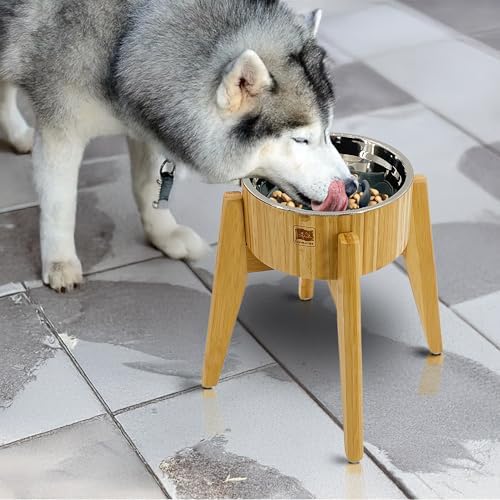 Slow Feeder Dog Bowl for Large Dogs - Elevated Food Stand, Collapsible - Image 5