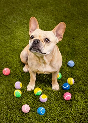 Midlee Mini 1.5" Squeaky Dog Tennis Balls- Pink- Set of 6 - Image 5