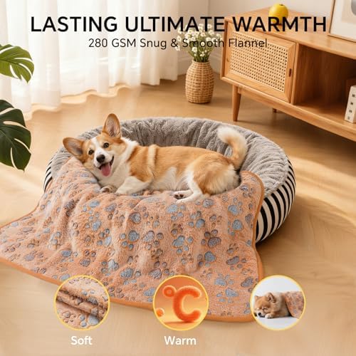 1 Pack 6 Blankets Dog Cat Soft Fluffy Fleece Pet Blanket Warm Cute Print Design Puppy Kitten Blanket Doggy PAW-2 Medium (30" x20") - Image 6