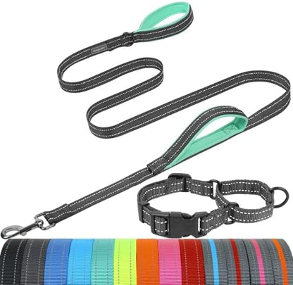 VIVAGLORY Double Handle Dog Leash Twingrip, 5ft x 1in, M2, Grey by VIVAGLORY