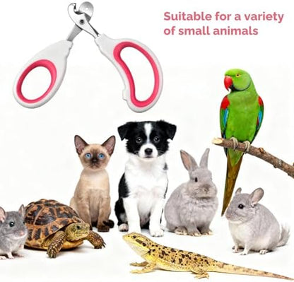 Stainless Steel Bearded Dragon Nail Clippers, Professional Reptile Grooming Tool with Precise Angled Edge, Small Animal Nail Clippers, Cat Nail-Clipper, Claw Trimmer for Birds, Cat, Dogs (Red) - Image 7