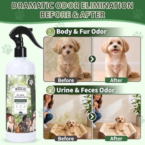 Pet Odor Deodorizer Spray,16.9 & 3.4 Fl Oz - Dog Deodorizing Spray Natural Forest Scent Pet Odor Neutralizer for Home Pets Potty Furniture(16.9 Fl Oz + 3.4 Fl Oz) - Image 4