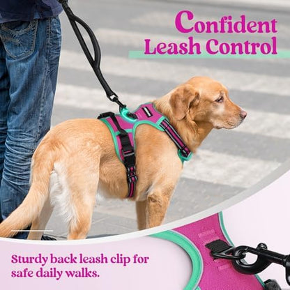 rabbitgoo Dog Harness, No Pull Medium Sized with 2 Leash Clips, Pet Vest - Image 6