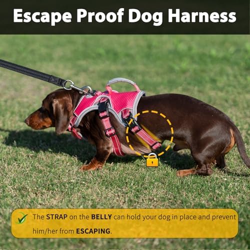 Huntboo Escape Proof Dog Harness, Dachshund Harness, Reflective Dog Harness with Handle, Durable,Adjustable Vest for Small Medium Large Dogs Walking, Training, and Running Gear (Rose red,S) - Image 2