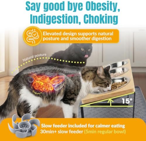 Raised Cat Food Bowls-3 Bowl Elevated Cat Feeding Station with Mat - Image 2