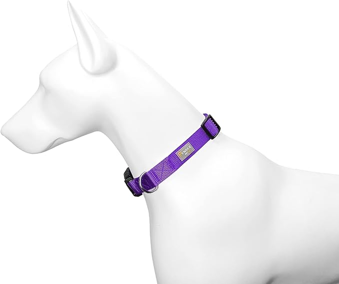 Purple Dog Collar Basic Adjustable Dog Collars for Puppy Small Medium Large Dogs Girls with Breathable Quick Release Nylon Pet Collar