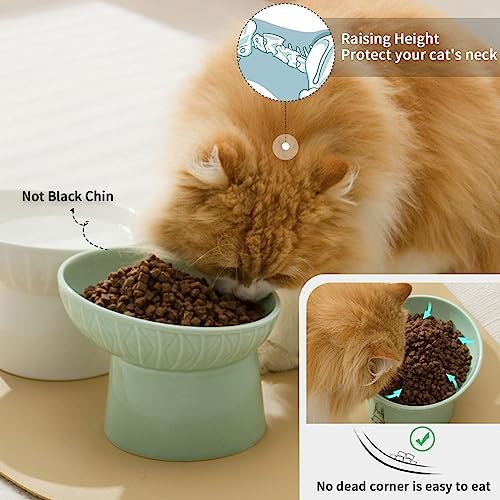 6.5 Inch Tilted Elevated Cat Bowls, Ceramic Extra Wide Raised Cat Bowl Set - Image 4