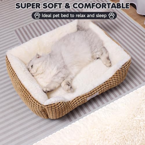 Dog Beds for Small Medium Dogs Washable, Calming Dog Bed Small Size Dog, Orthopedic Dog Bed, Warming Soft Calming Sleeping Puppy Bed Durable Pet Bed with Anti-Slip Bottom (25 inch, Coffee) - Image 3