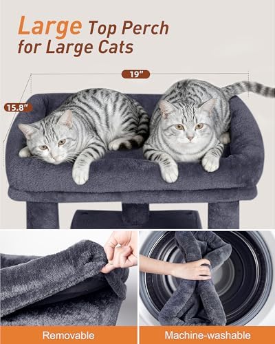 23.6" Cat Tree for Large Cat, 19 * 15.8 in Large Perch, Dark Gray - Image 2