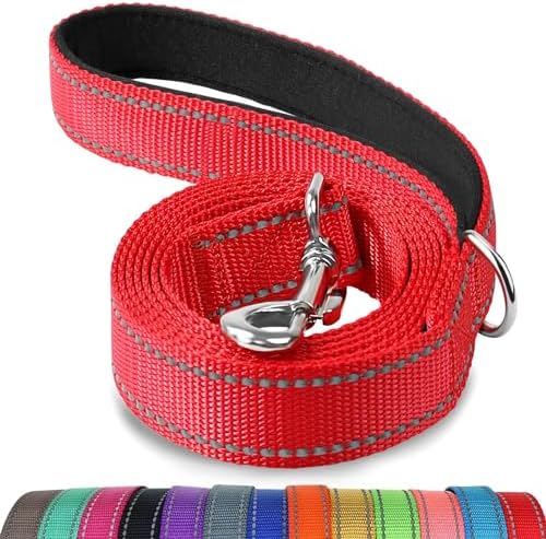 Joytale Reflective Dog Leash for Small Dogs, 4 FT x 3/4", Red by Joytale