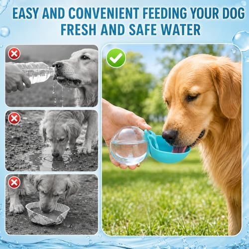 2 in 1 Portable Dog Water Bottle Tumbler, 10oz Stainless Steel (Blue) - Image 6