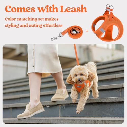 rabbitgoo Dog Harness Medium Sized and Leash Set, Step-in Puppy Pet Vest - Image 5