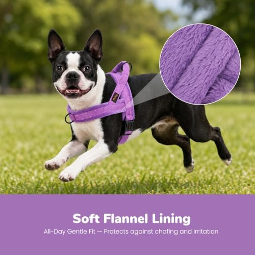 Didog No Pull Dog Harness for Small Dogs, Soft Flannel Padded, Purple, XS - Image 2