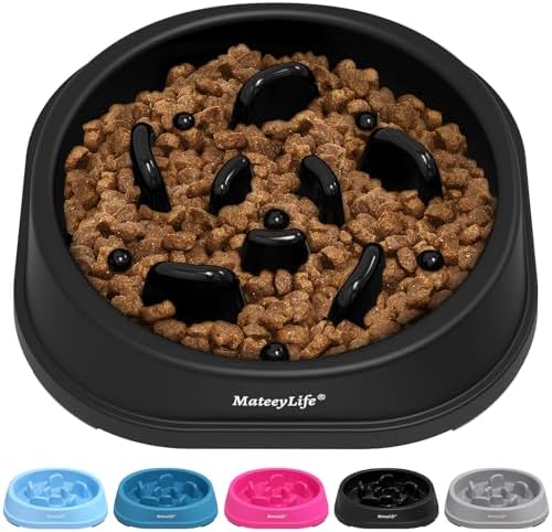 MateeyLife 1-Pack Slow Feeder Dog Bowls, 1 Cup, Dog Puzzle Feeder Bowl by MateeyLife